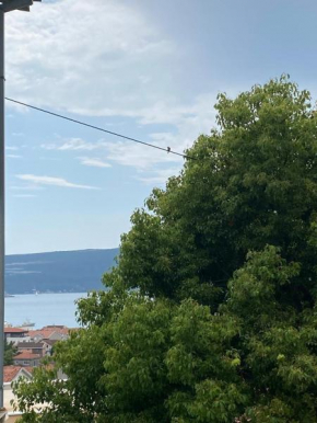 Apartman Snezana Kalimanj